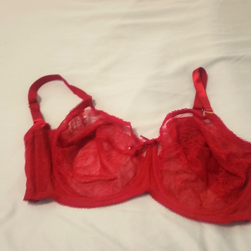 Red Lace Curvy Kate bra
